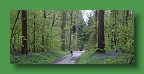 Hyacintenjogging (49)